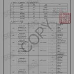 Oplus_16908288