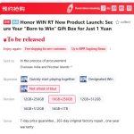Honor Win RT Memory Options