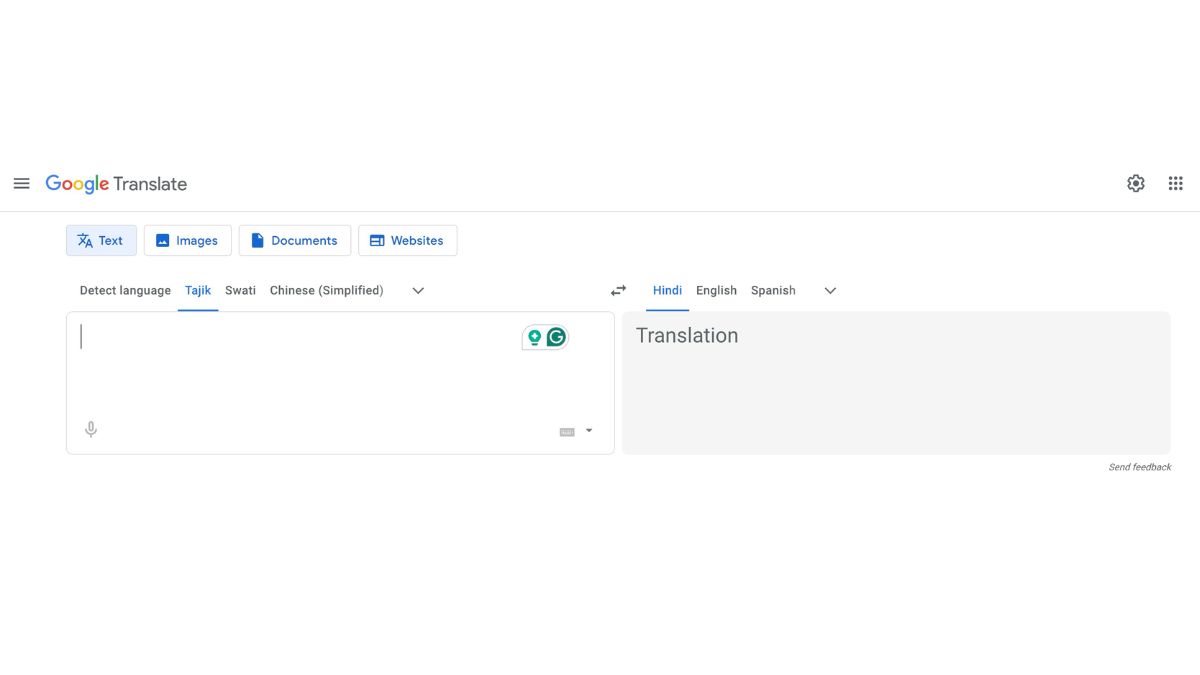 Google Translator Page