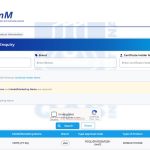 Vivo Y11 5G - SIRIM