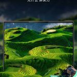 Oplus_16908288