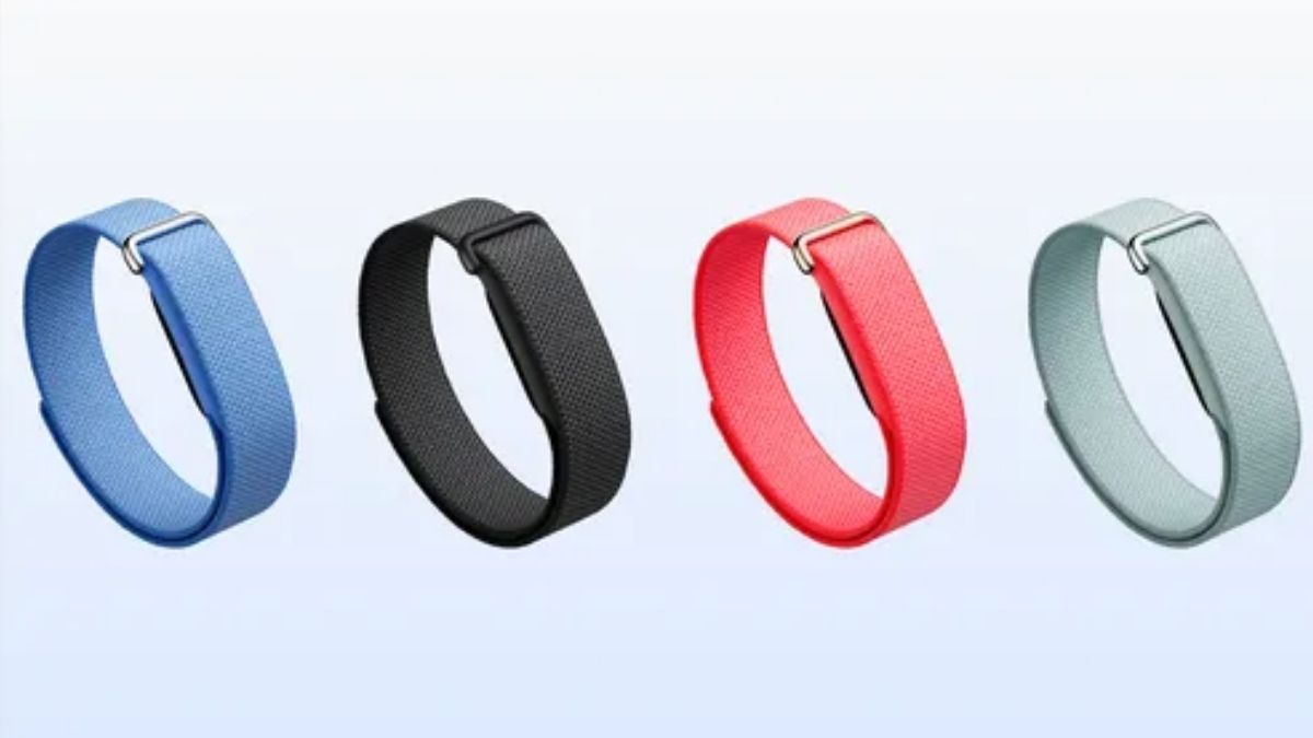 Google Fitbit Air