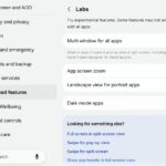 App Screen Zoom feature Z Fold 8